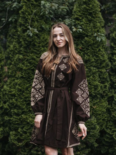 Коричнева жіноча сукня-вишиванка &laquo;Шоколадна мозаїка&raquo; з бежевою вишивкою 7528-КОР-01 фото