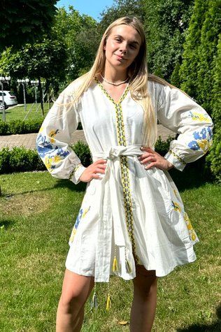 Жіноча вишита сукня "Жовто-Блакитна Мрія" 5730-Б-01 фото
